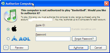 iTunes authorization screen