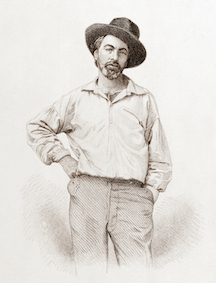 Walt Whitman, steel engraving, July 1854